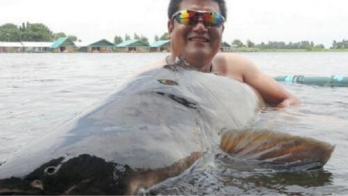 毎日新聞DIGITALより